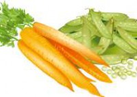 זרעי גזר שלוס - Carrot Seeds