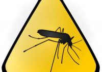 דוחה יתושים שלוס - Mosquito Free